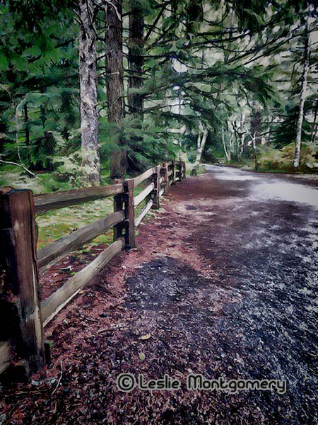 Lesislie's tweet photo. https://t.co/UIa34OLr2q
#lesislie #FineArtAmerica #art #SmallBusiness #shopsmallbusiness #artforsale #Fences #wilderness #woods #forest https://t.co/t2BIJkBjs1