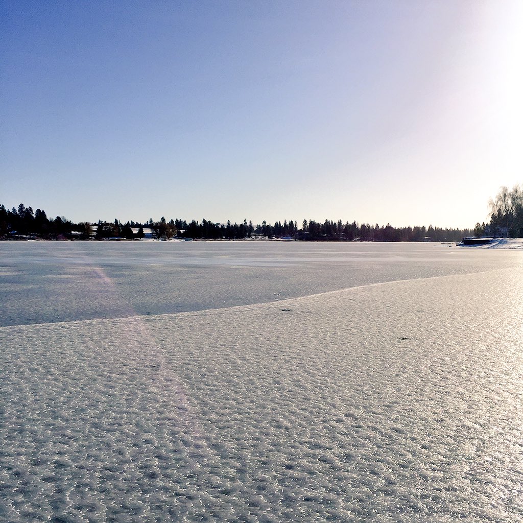 madymorrow12's tweet photo. ❄️Frozen adventures❄️ https://t.co/1YDdTDrw61