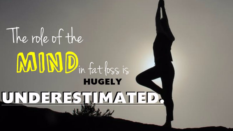 oofykapoof's tweet photo. The best way to gain self-confidence is to do what you are afraid to do. #Yoga #confidence #straight #Mind https://t.co/95Kl0Qntzd