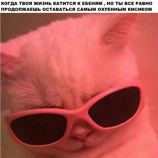 krushansky's tweet image. 