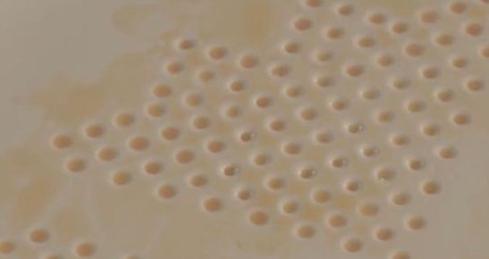 Gabrialvolante's tweet photo. Dalla #Thailandia ,l' #ingegnoso #AbsorbPlate https://t.co/Br472tWPn8 #tuttiincucina #giovedi #22dicembre #blog #startup #piatto #assorbente https://t.co/VhCvKmFGId