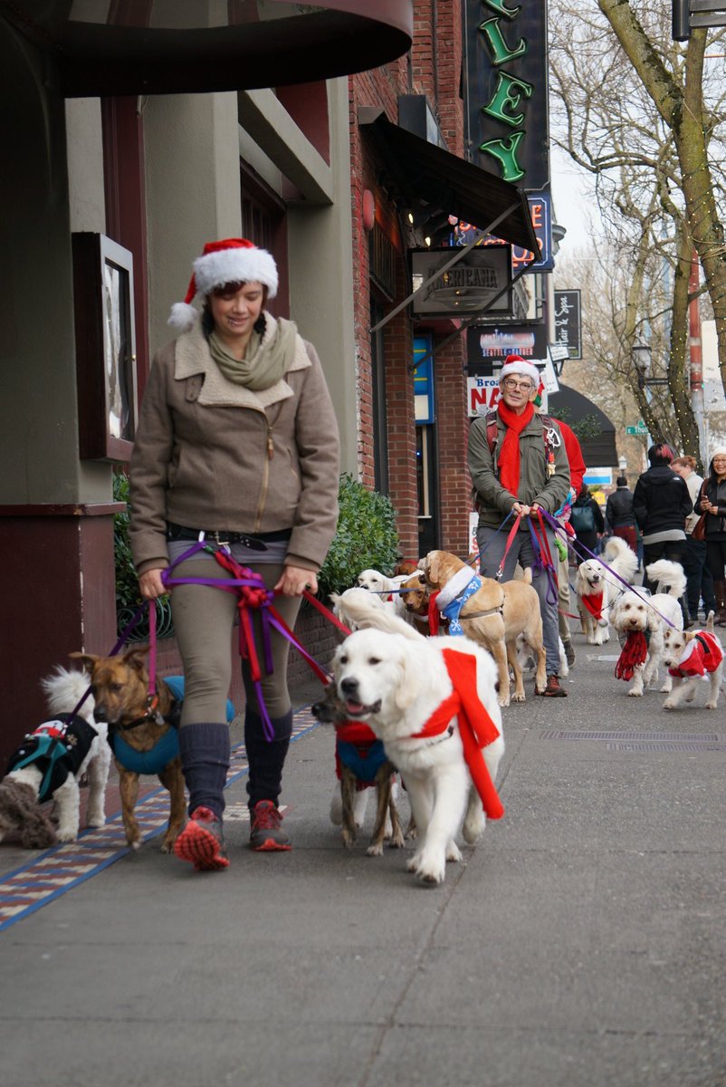 SeattleMaven's tweet image. I picked the best day ever to walk up to Capitol Hill! #dogsformiles #pupparade