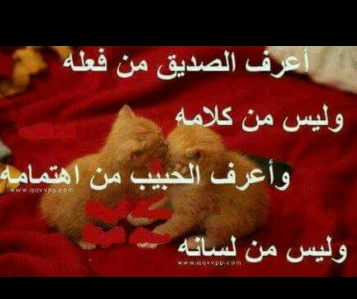 يمنيه (@mtntma) on Twitter photo 