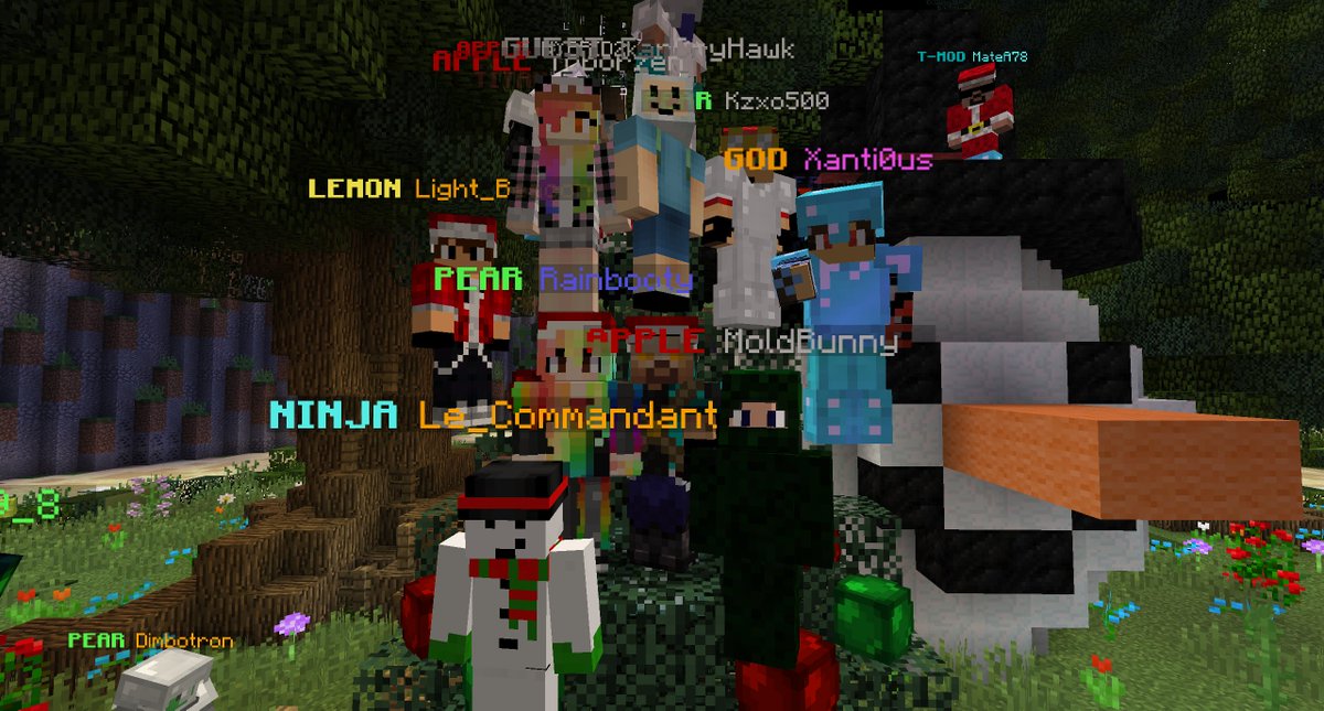 FruitServers's tweet photo. Server is updated and running Minecraft 1.11.2 now! Come on and check out the festive celebrations :D https://t.co/5rYSHDsRv3