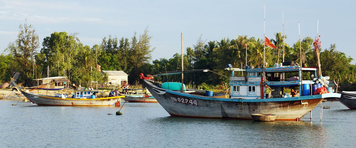 mysondailytours's tweet photo. Bringing you closer to rural Vietnam combining a minivan adventure to My Son and a boat tour with meal on river https://t.co/OxJtLIXCAr https://t.co/fbgUYSv4Df