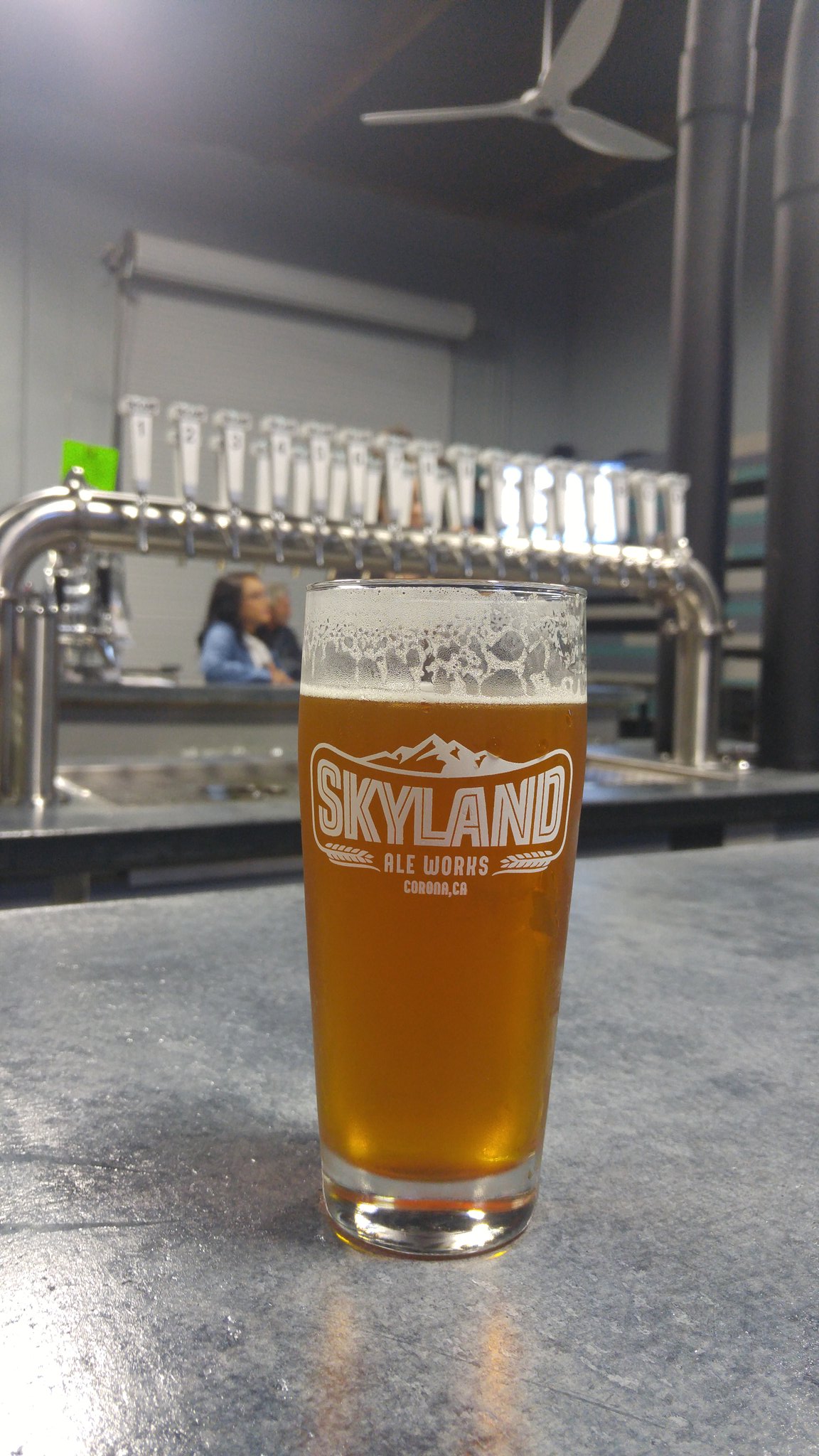 skyland ale works instagram