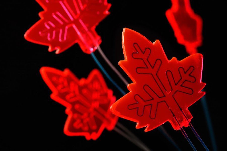 Jkimmel5's tweet image. Artificial leaf captures light to power drug production | 
#tech #ArtificialIntelligence #drugtech #medicaldevice google.com/amp/s/techcrun…