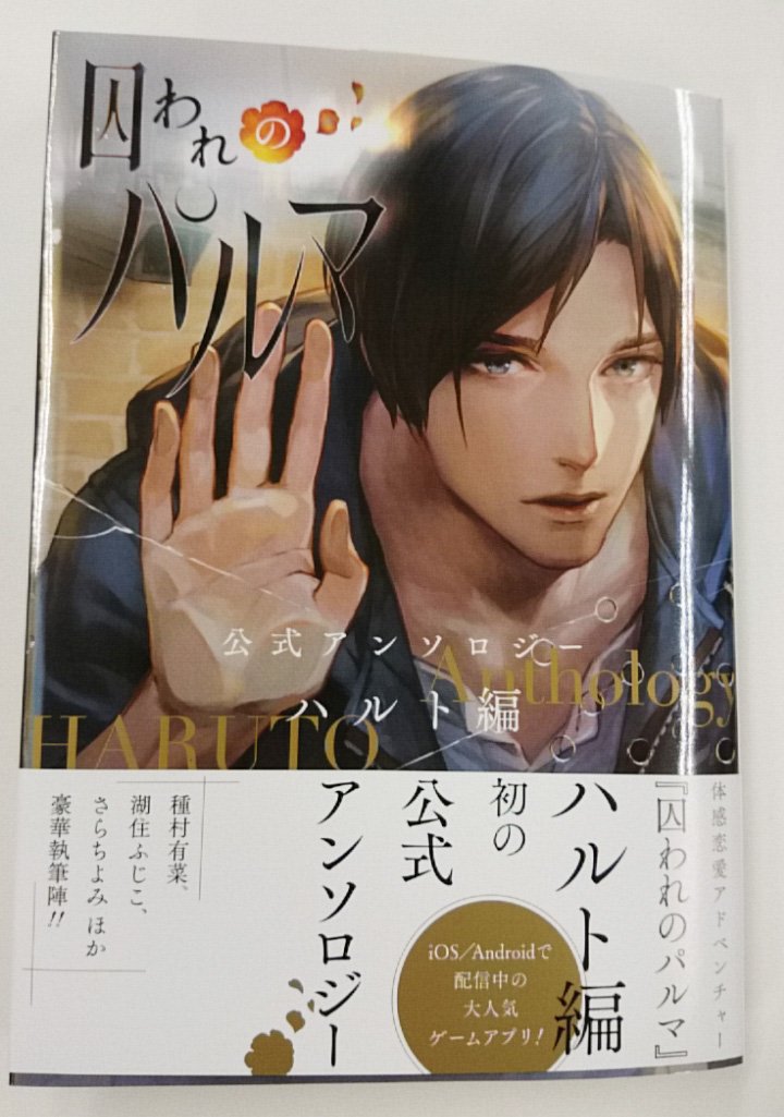 囚われのパルマ 公式アンソロジー B's-LOG COMICS 孤島の王子 囚われの