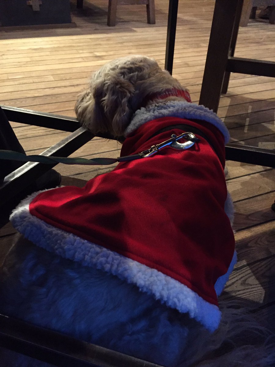fluffchaser's tweet photo. #Santa paws is checking out who's naughty &amp; nice at the pub.... https://t.co/BIthD6bsIS