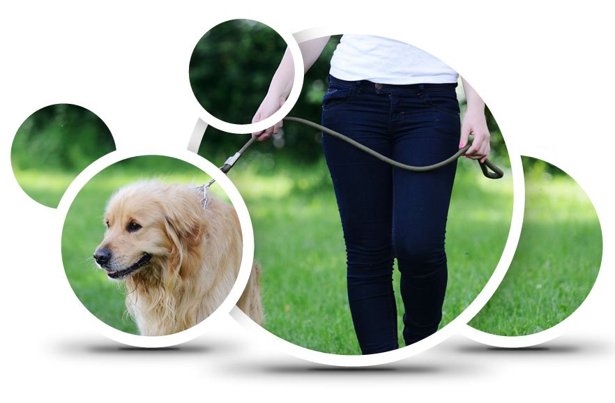 Signup for dog walking/sitting @ CaryDogWalkers.com

We service all of #Cary #Apex #Durham #Morrisville #HollySprings #BrierCreek #RTP