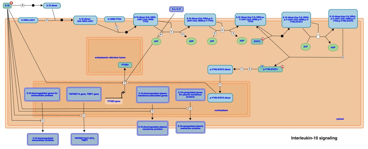 reactome's tweet image. Version 59 Released: 2080 human pwys &amp;amp; 10391 rxns with 10624 proteins &amp;amp; 1735 small molecules goo.gl/Mv0I92 #usereactome