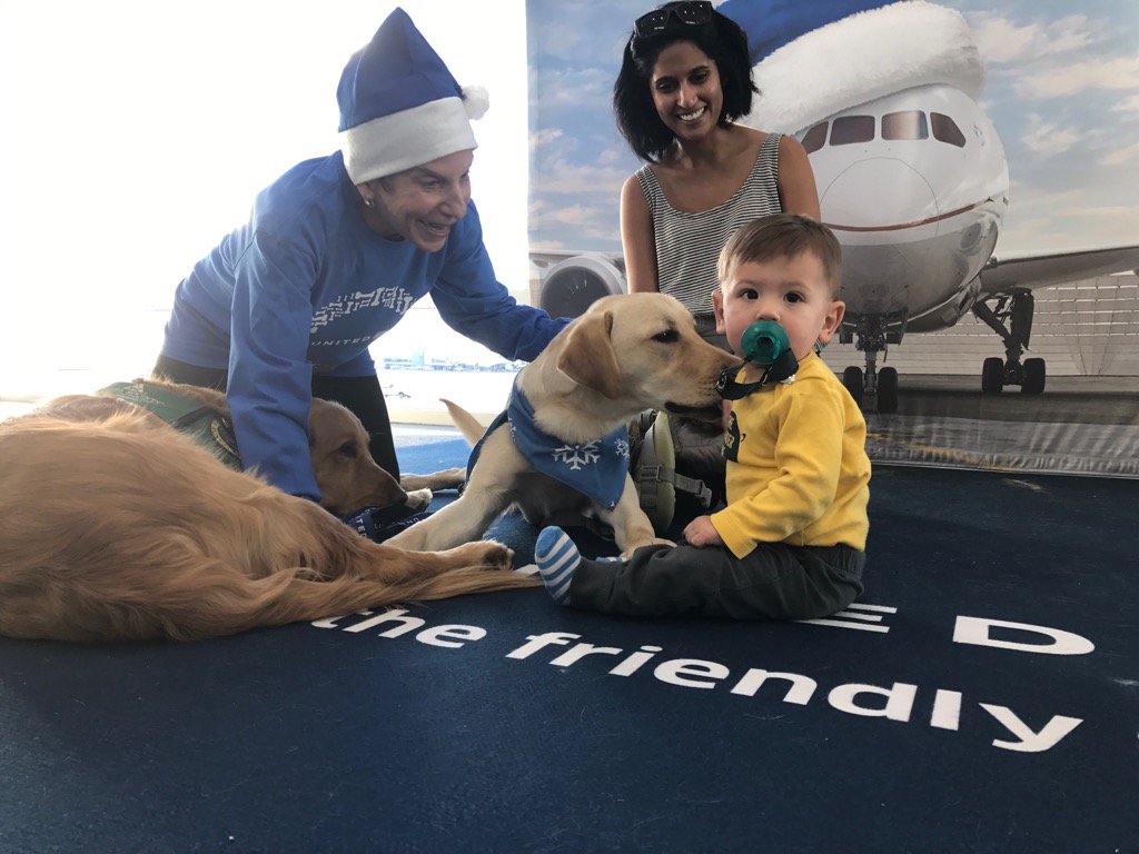 molnars's tweet image. Puppy Love #UnitedPawsDonation