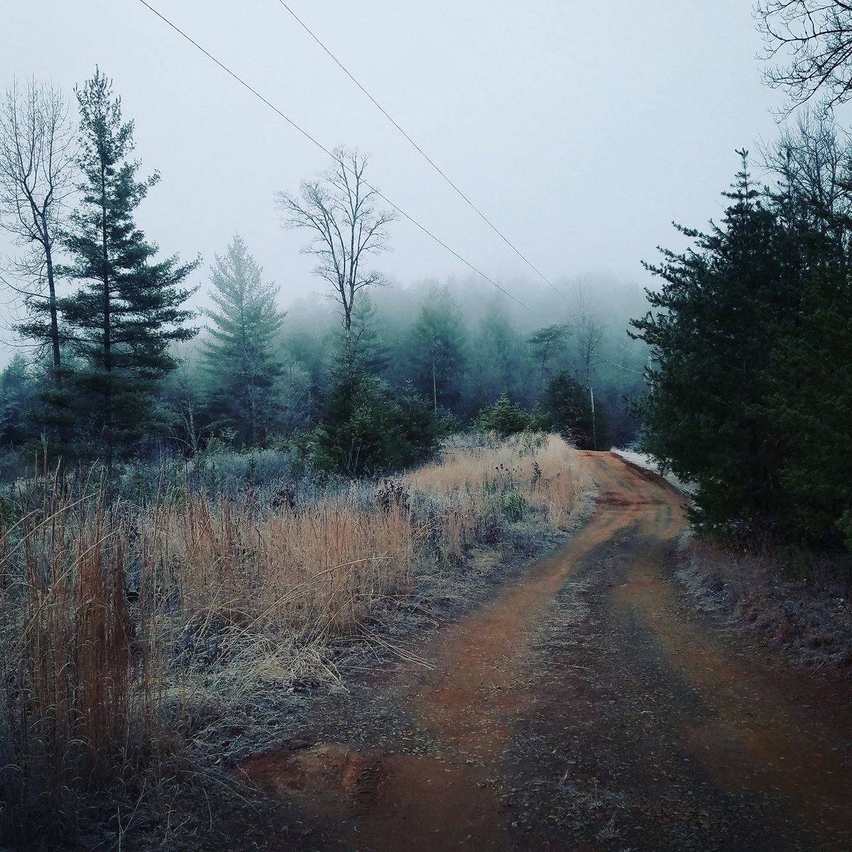 Poor little dirt road looked like a winter wonderland this morning. #firstdayofwinter