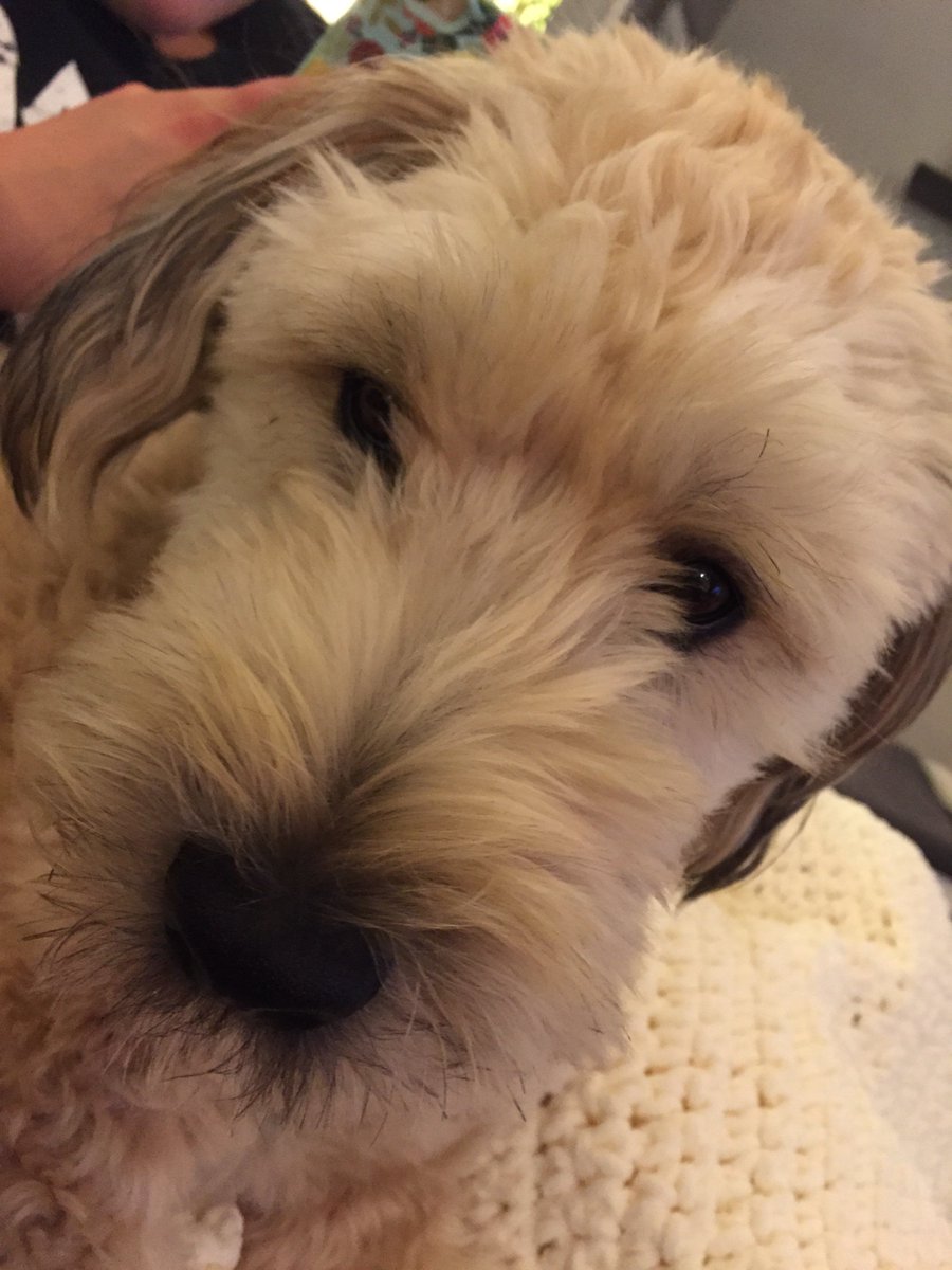 MurphyBrownTown's tweet photo. Relfie #rorilter https://t.co/b2knmZ6pCj