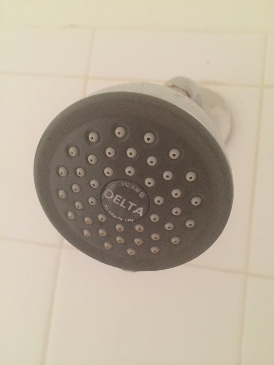 caffadeus's tweet photo. Was just forced to leave my bathroom bc I was singing in a different language in the shower. #delta #Boycottdelta https://t.co/z6TI4Ys2zX
