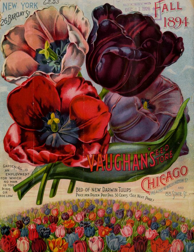 Plant a Seed tweet media