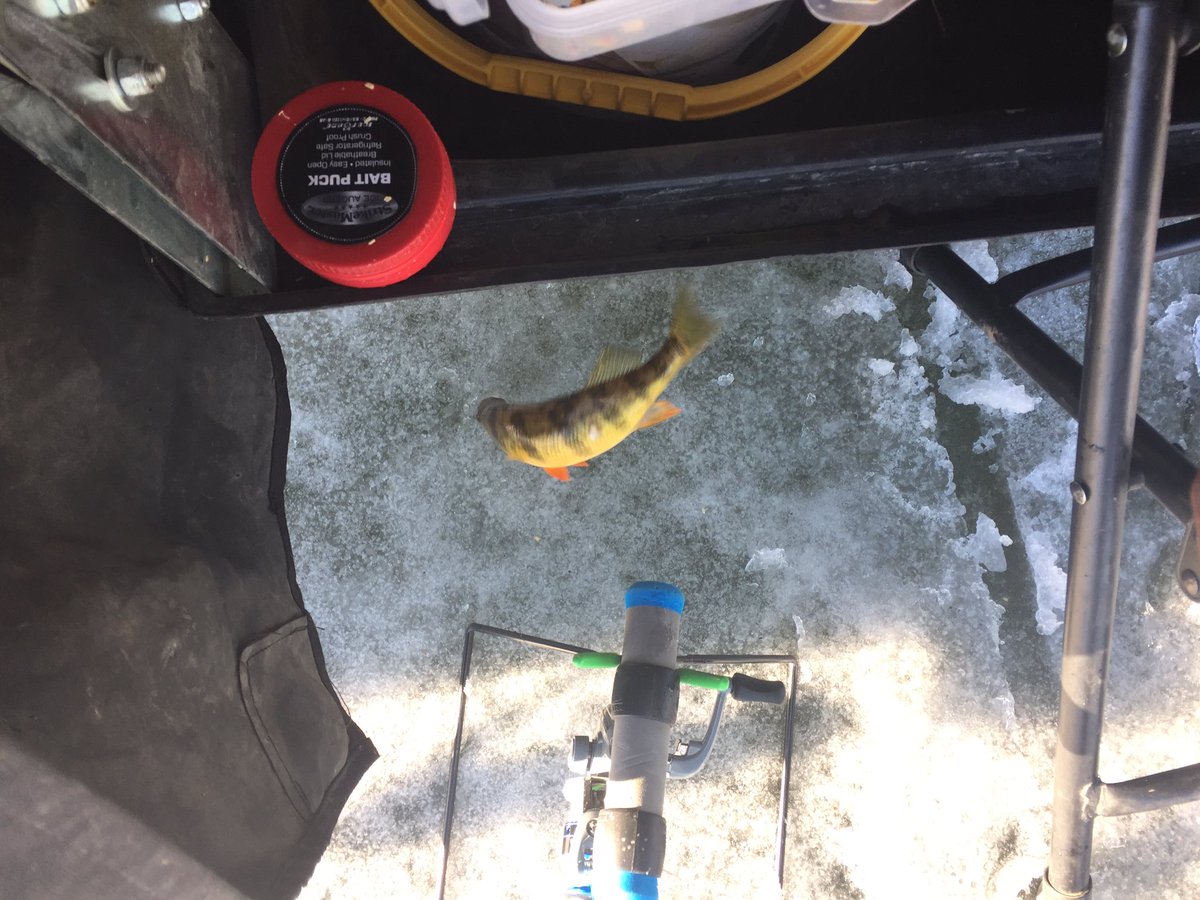 FamilyObsession's tweet photo. Found some fish today just need bigger ones! https://t.co/dY1JCltelQ