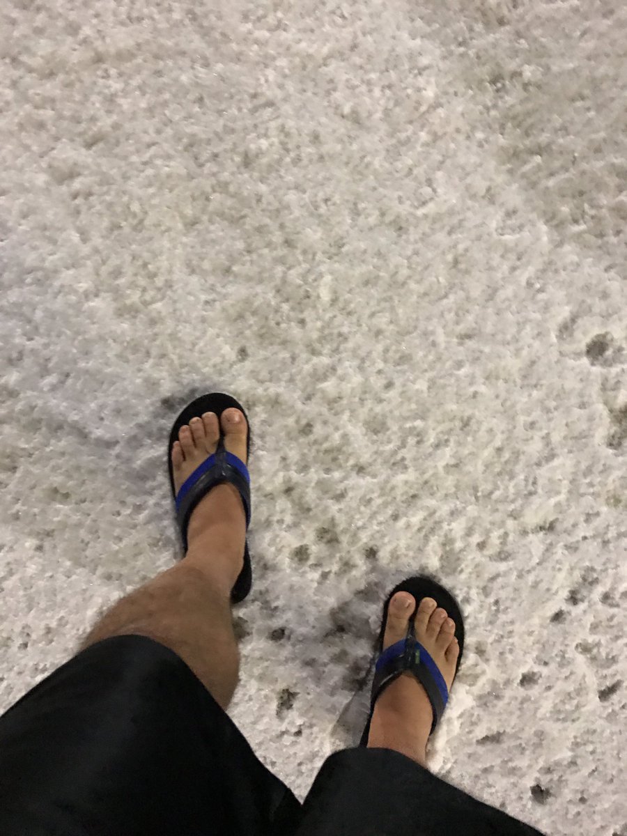 SchutteMath's tweet image. From pool deck to snow. Off to the grocery store. @GaryWesterman1