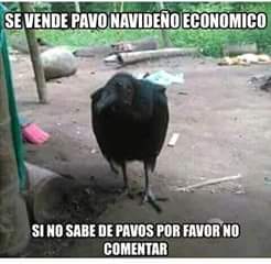 eddy richard tweet media