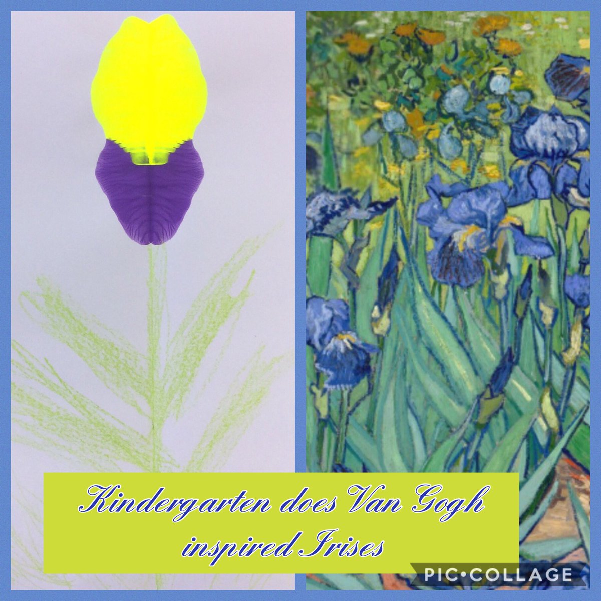 hafnerart's tweet photo. First Grade is inspired by Vsn Gogh's Irises @Tomahawk_prin https://t.co/3yWoFcPiTY