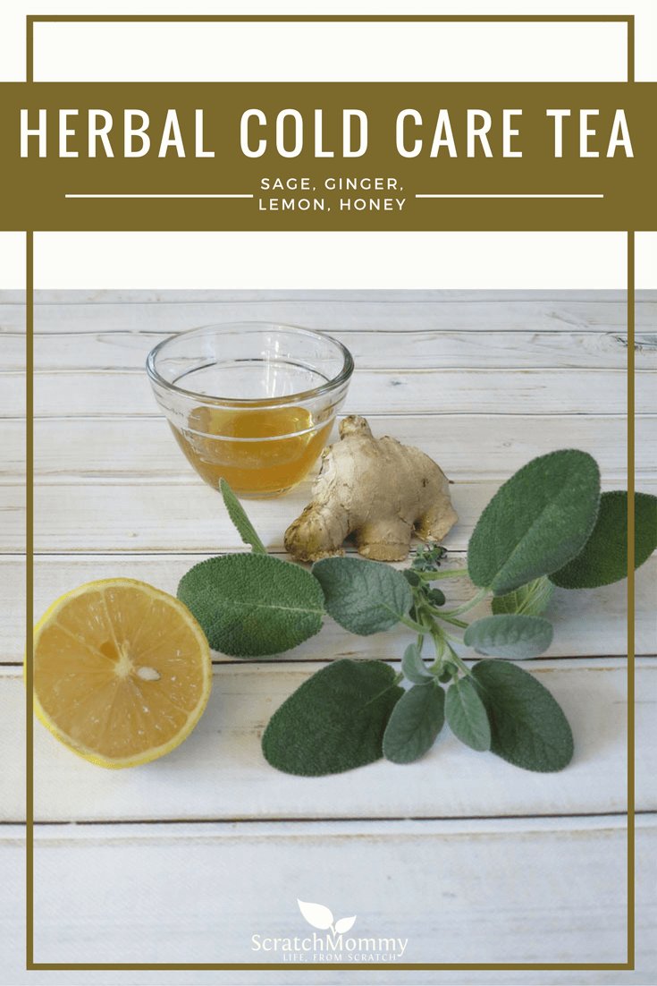 ScratchMommy's tweet photo. Come learn why this herbal tea recipe is so powerful, and then whip it up...easily!
#HerbalTea #ColdCare
https://t.co/5OkLWo6Fw4 https://t.co/LPmgxjbnoN