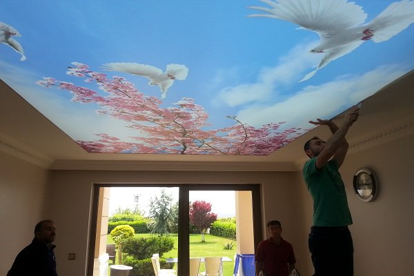#Gergi #Tavan 
Eyüp Gergi Tavan Sistemleri
gergidizayn.com/eyup-gergi-tav…