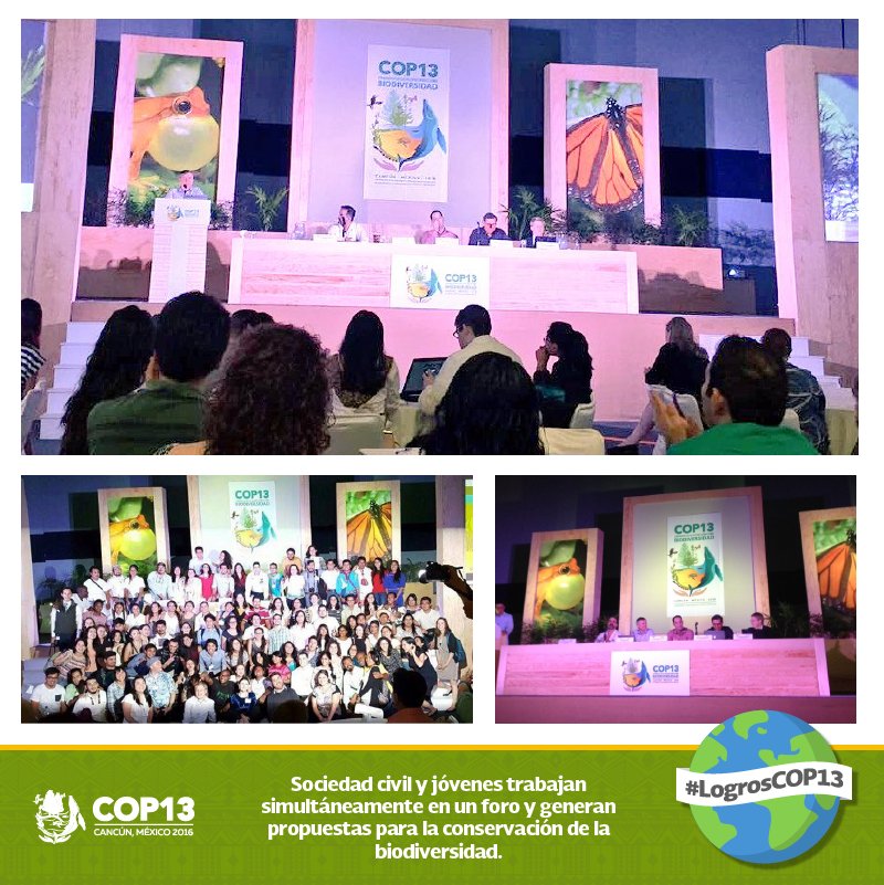 La sociedad civil participó activamente, presentando sus casos y proponiendo esfuerzos para conservar la #biodiversidad. #COP13 #LogrosCOP13