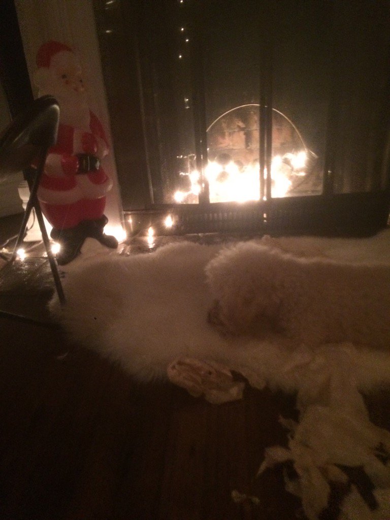 HunterScrumbles's tweet photo. First Christmas celebration in the D! Thanks #AshMom for the treats from @casscorridog 🐑 https://t.co/fh6kWUMmgh