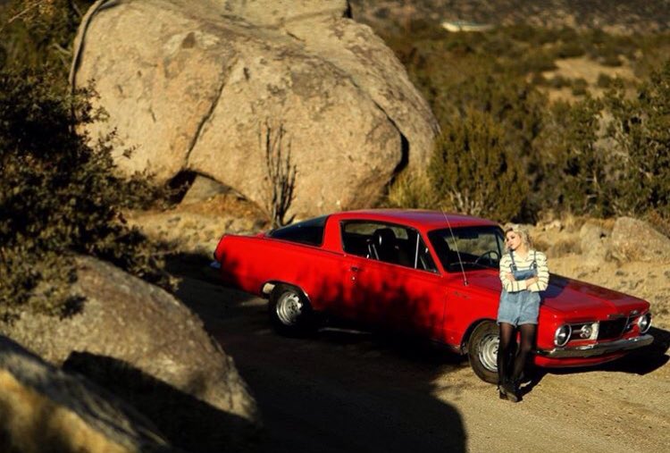 willows_world_'s tweet photo. Love these photos Willow! @WillowShields https://t.co/UJ2fiT7IJ1