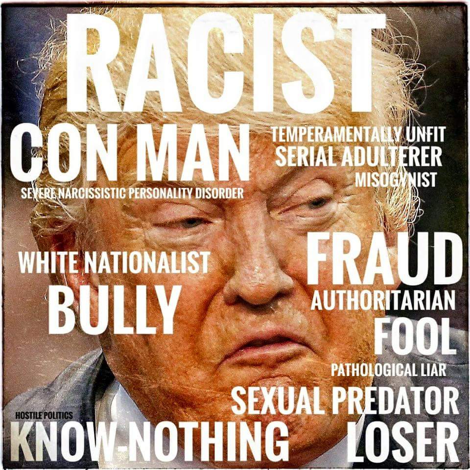 Msgargoyle13's tweet photo. Almost sums it up.  IDIOT.  #putinspuppet #notmypresident #justsaynotodjt #nationinperil #theresistance https://t.co/vaCOxrGytB