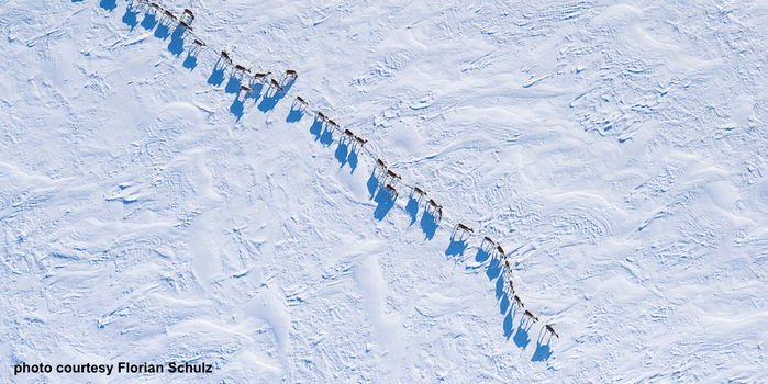 goadventurehub's tweet photo. petition: Defend the Arctic Refuge from Oil Drilling
https://t.co/X3h4qwy369 https://t.co/uB6wwMCA7E