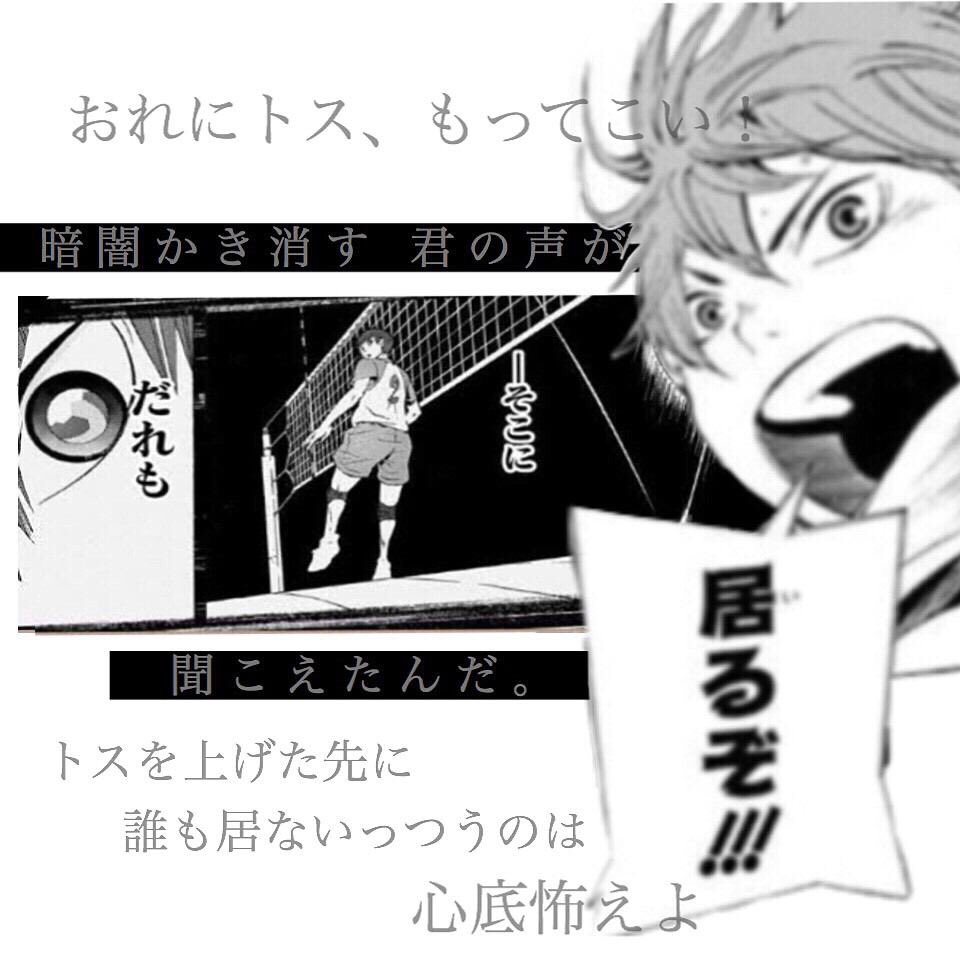 تويتر ハイキューlove على تويتر Blossoch こちらこそあざっす