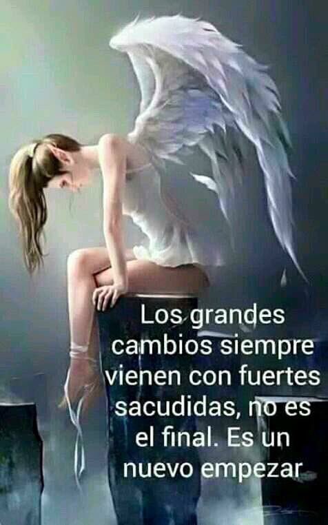 Mayte_Carranco's tweet photo. Dulces sueños mis amores 😇 https://t.co/PluiWmS5vd