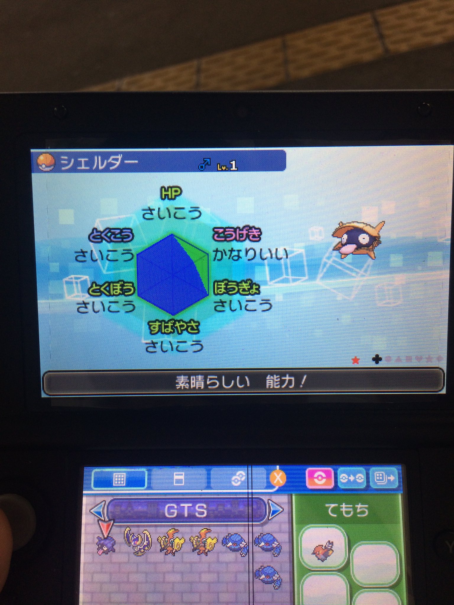 ポケモン配布 交換垢 Pokemonlikemaru Twitter