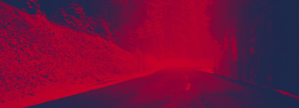 wolf in a suit tweet media