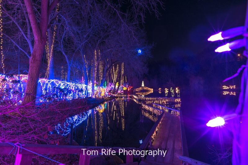 RotaryGardensWI's tweet photo. New perspectives at the Holiday Light Show. Retweet to share the beauty โจ #Janesville #Wisconsin #HLS2016 https://t.co/3rt43R8ETO