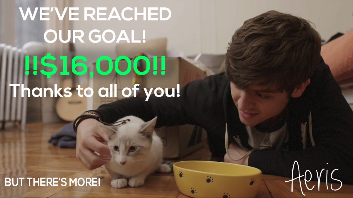 aeris_themovie's tweet photo. We did it! But please help us reach our stretch goal of 18,000! #kickstarter #indiefilm #cats #stopfip https://t.co/TlvVKWNoAv https://t.co/i2FiBnV8j6