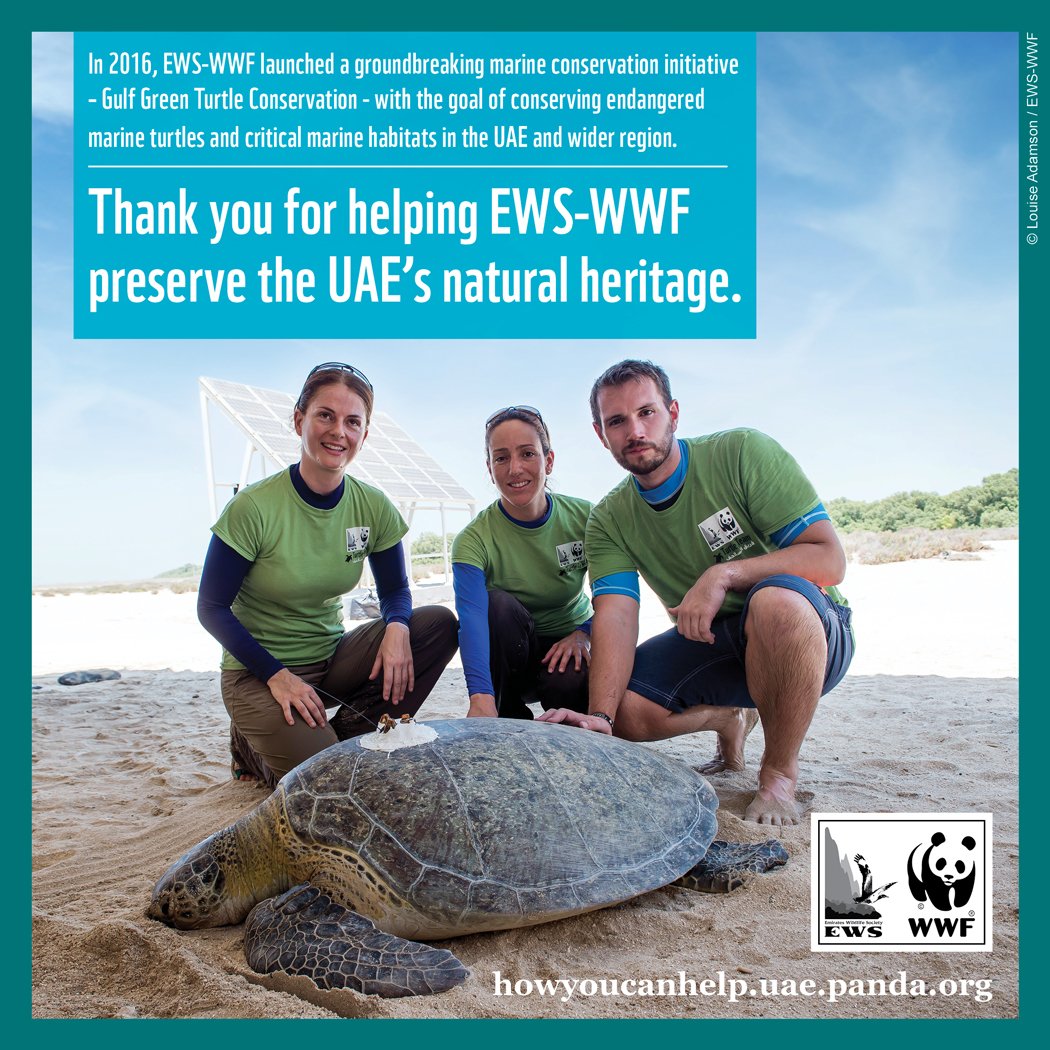 GCC_Business's tweet photo. A proud supporter of EWS-WWF this year; promoting stewardship, conservation, and CSR. #EWSWWF #WWF #EWS #MyUAE https://t.co/dheOi51RPu https://t.co/AoZyAJFwMT