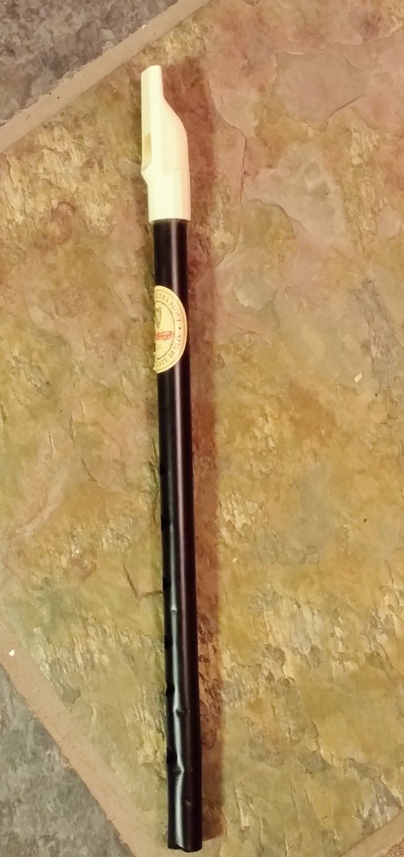 ArdeeCarrickLPs's tweet photo. FaceTime is great when your 10year old #Dublin nephew plays on the #TinWhistle the latest Trad tunes he learned by ear at his local #Ceoltas https://t.co/G5U6CpuZaj