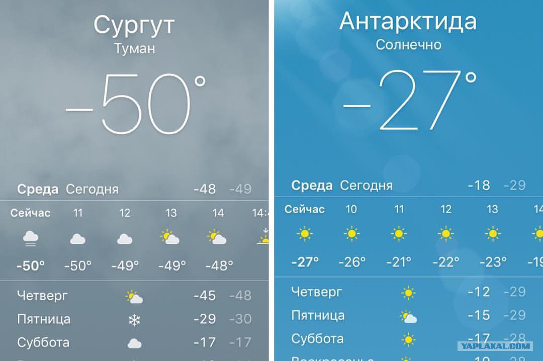 Приколы в сургуте картинках