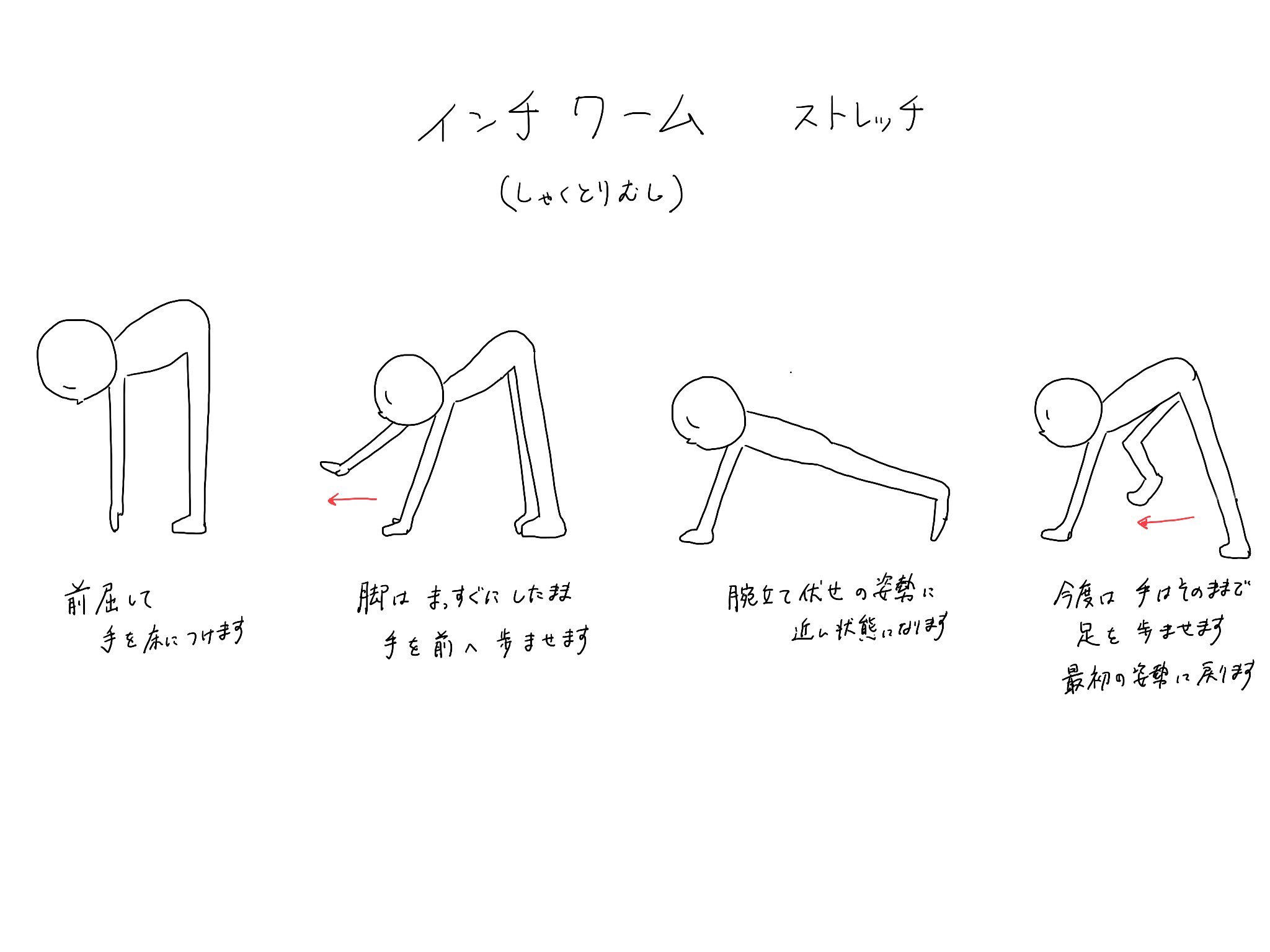 ふくらはぎほぐしの足楽屋 インチワーム ストレッチというのが あります 呼吸に合わせて ゆっくり伸ばす静的ストレッチと対照的に 動的ストレッチと呼ばれ 運動前に行うと 運動能力が向上するといわれています ただ実際やってみると 筋トレ並みにつらいです