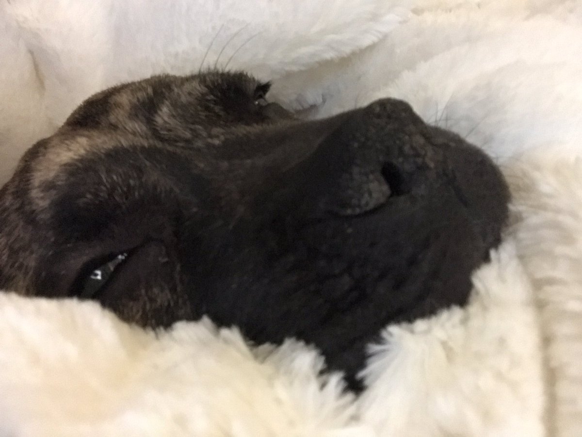 This widdle face 😍