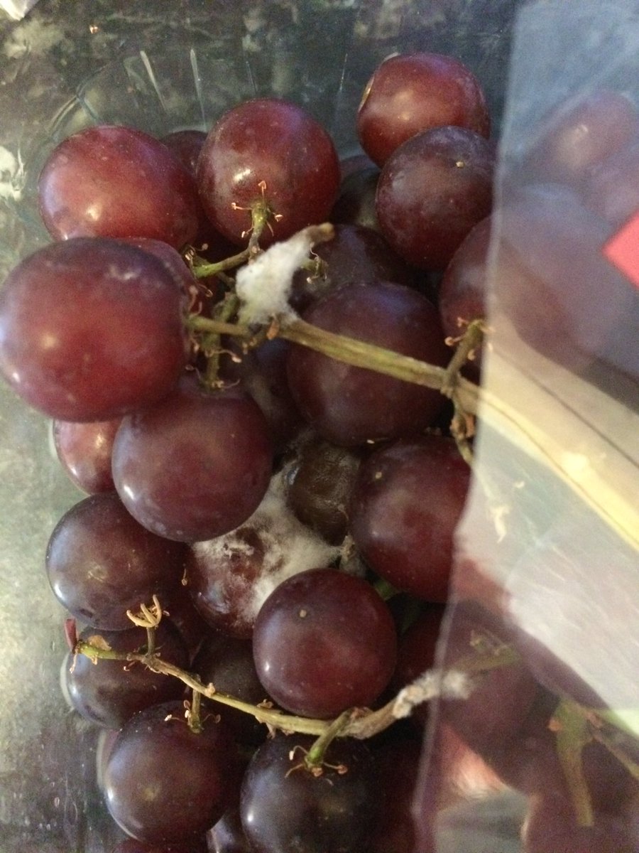 doublebuggydaze's tweet photo. Gross @Tesco was going to give theses to the kids for lunch https://t.co/89vlHrBAbJ