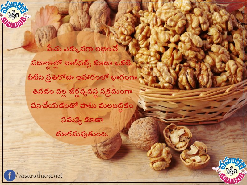 VasundharaVK's tweet image. 'వాల్‌నట్స్'.. ఆరోగ్యానికి దివ్యౌషధం!
Read:goo.gl/NFWnuz
#HealthyFood #WalnutBenefits #Infographics #VasundharaKutumbam