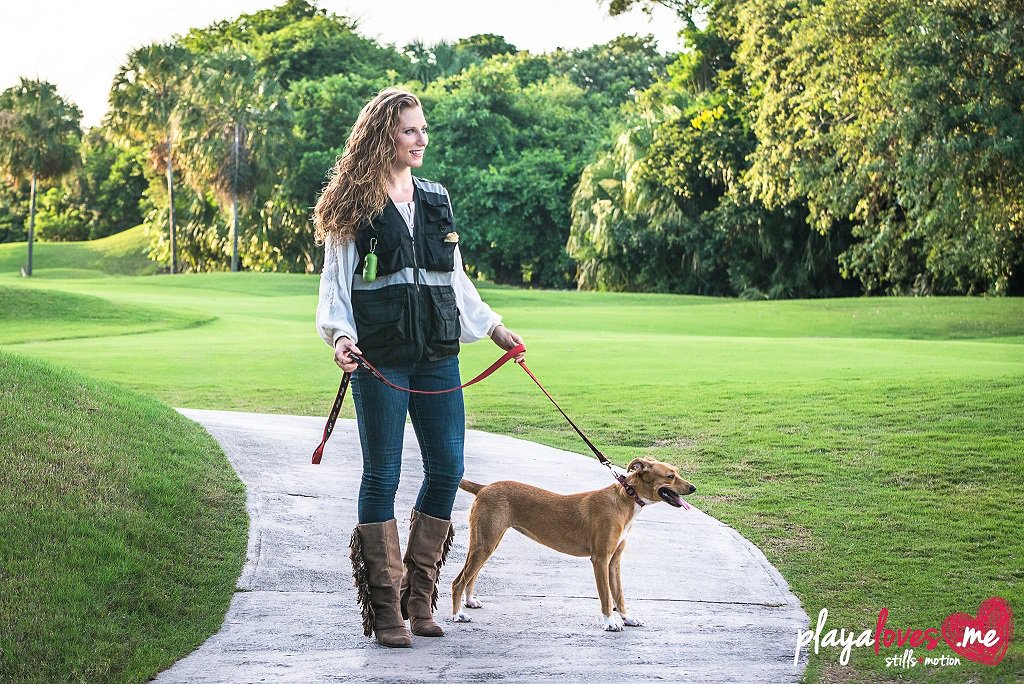 dogwalkershop's tweet photo. Make #DogWalking fun, hassle-free. BIG #Sale,#MultiplePockets,#Clips, #WaterBottlePockets,#ReflectiveStrips. https://t.co/sH3fBOsvFZ