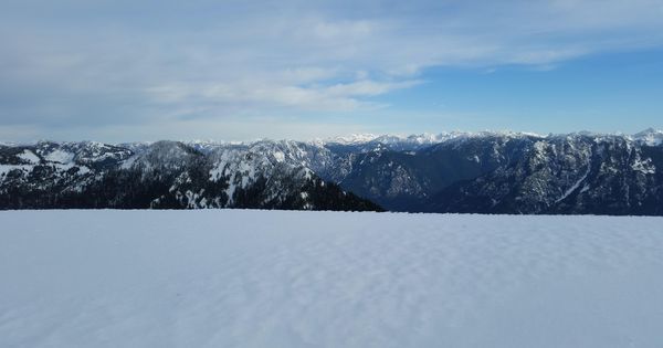 Vilo Kanis tweet media