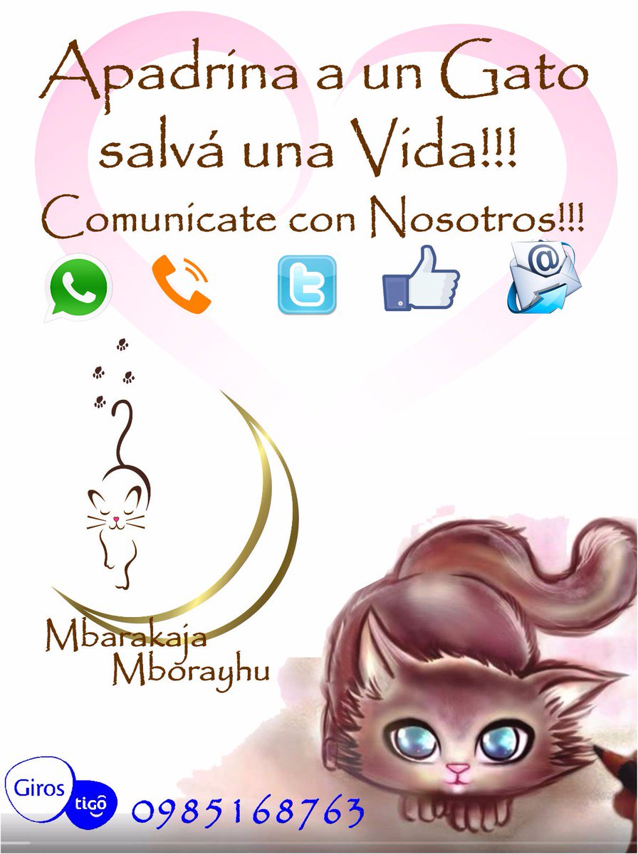 Mbarakaja_Mborayhu (@mbarakaja_py) on Twitter photo 