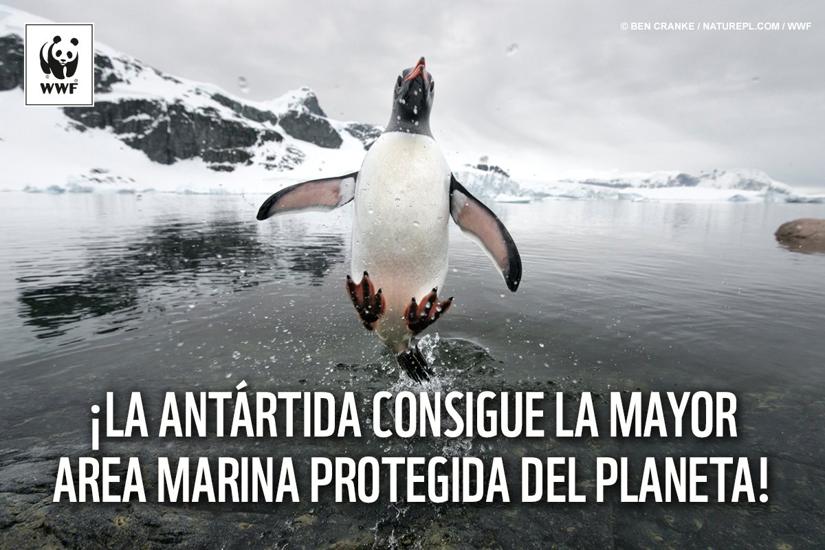 WWFespana's tweet photo. Este año nos ha tocado el Gordo, sin esperar a la #LoteriaNavidad. Mira estas 10 victorias por el planeta de 2016 ➡ https://t.co/kuYfwD60KM https://t.co/ecKbeyfHC2