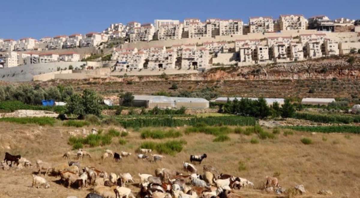 Today, United Nations Security Council (US will Veto) to vote on ending Israel's Illegal Colonies, aka land theft. 
google.com/amp/www.aljaze…