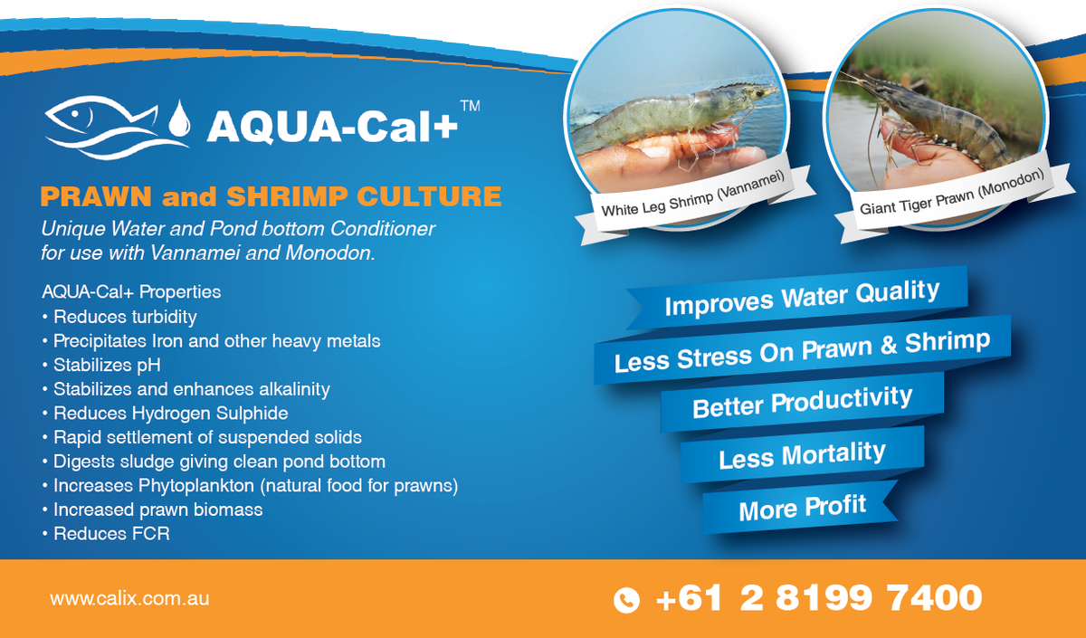 Calixlimited's tweet photo. Results from trials on Pacific White and Tiger Prawns show AQUA-Cal+ is superior in performance &amp; economic benefit compared to probiotics https://t.co/9vmcJMWZOX